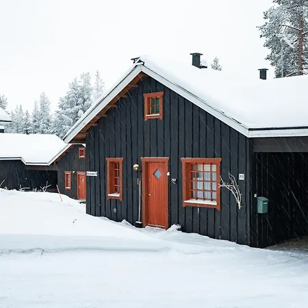 Alpine By Aavalevi レヴィ